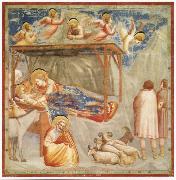 GIOTTO di Bondone Birth of Christ Germany oil painting artist
